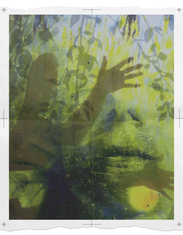 16MistyMawn_LostInAForestAllAlone